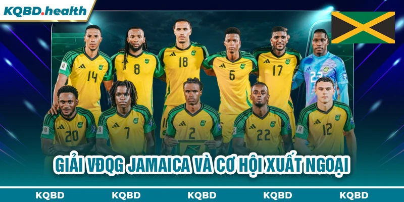 VĐQG Jamaica 24 Giải VĐQG Jamaica và cơ hội xuất ngoại