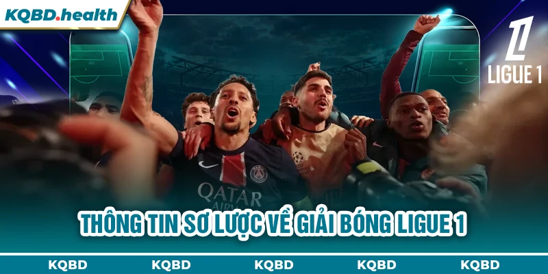 Ligue 1 22 Thông tin sơ lược về giải bóng Ligue 1