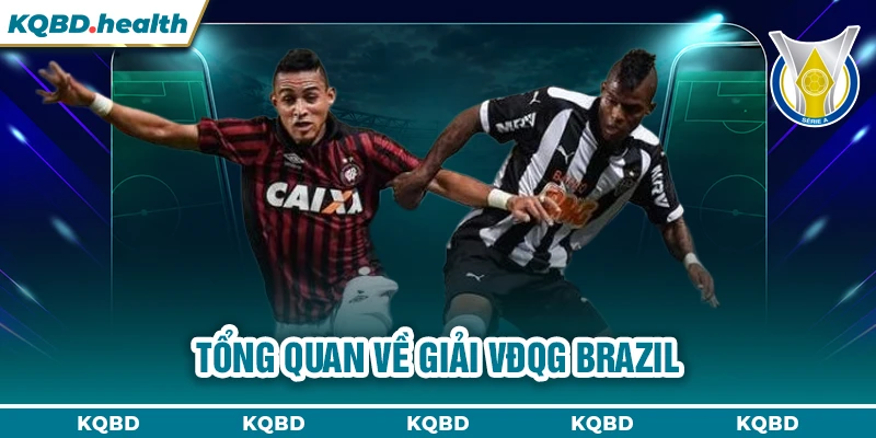 VĐQG Brazil 22 Tổng quan về giải VĐQG Brazil